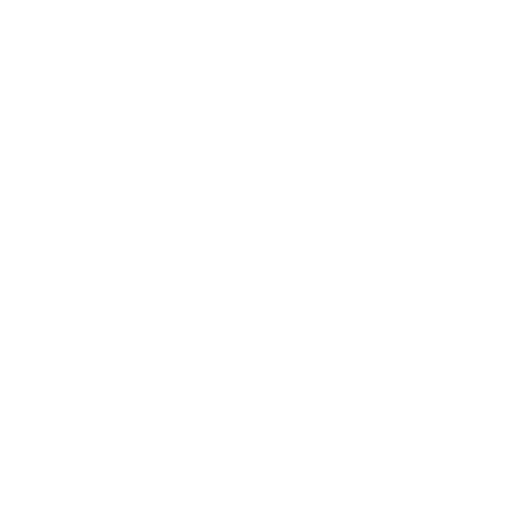 Icon Viszerale Therapie